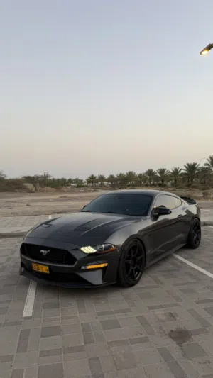 Used Ford GT in Muscat