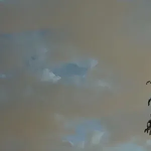 sa 