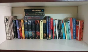 Books For Sale (OLD & NEW)  SELLING INDIVIDUAL BOOKS AND SETS