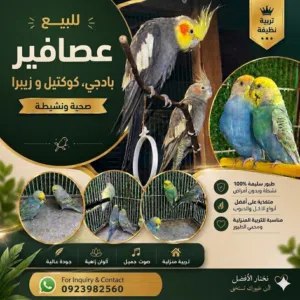 براكه للبيع