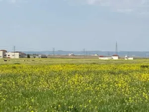 Residential . 1025 m2 . Landlord3