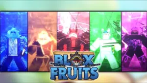 حسابات بلوكس فروت فيها بيرمات