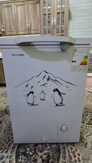 مجمده كهربائيه