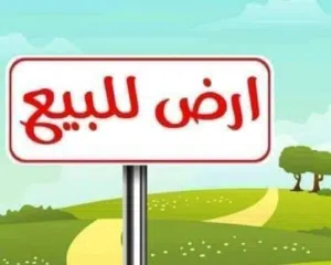 500متر ام مبروكه شارع الاستراحات