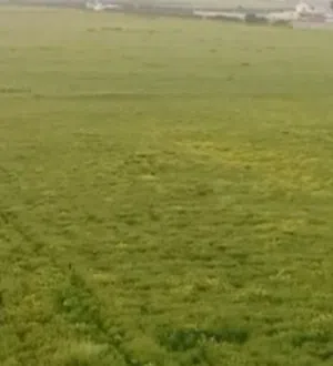 Farm Land for Sale in Amman Um al Basateen