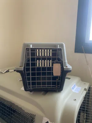 Cat carrier, BD8
