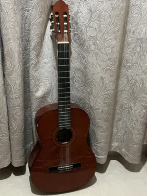 Guitar Jay turser
