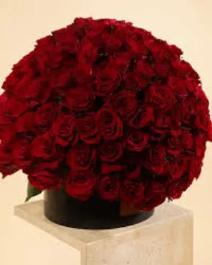 hosam 