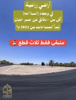 للبيع أراضي زراعية في بركاء – السلاحة بسعر مغري