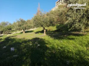 ارض مميزة مطلة ابو السوس غرب عمان عدة قطع في المنطقة.