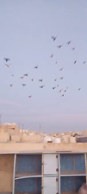 قطعه حمام للبيع