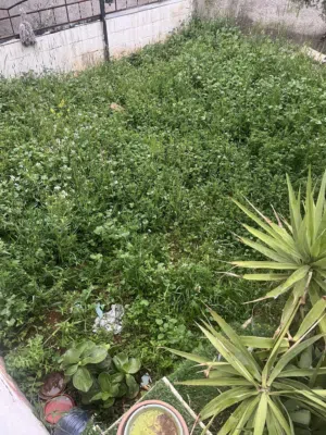 منزل مستقل  مكون من اربع شقق في الزرقاء الحديده البتراوي الجنوبي شارع الوينك للبيع