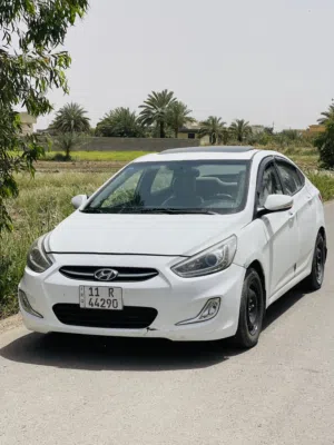 اكسنت 2016 صبغ عام