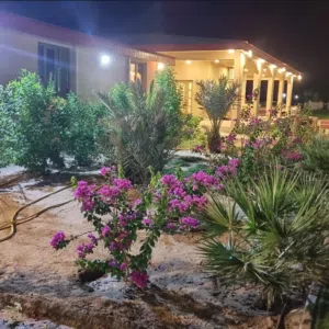 الدرة فارم العبدلي  V.I.P
