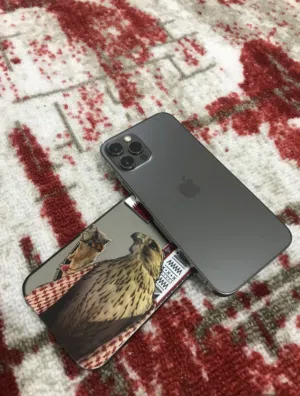 Apple iPhone 12 Pro 256 GB in Amman
