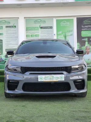 Used Dodge Charger in Muscat