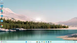 Windows Dell for sale in Amman