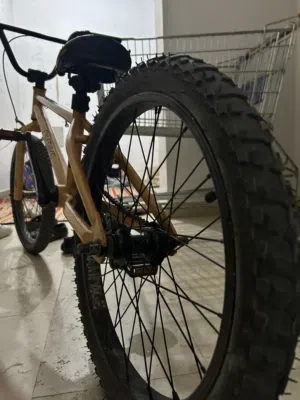 قاري DK BIKE