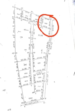 Mixed Use . 665 m2 . Landlord4