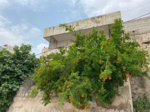 200 m2 3 Bedrooms Townhouse for Sale in Amman Jabal Al Naser