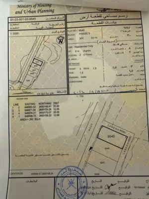 مرتفعات العامرات