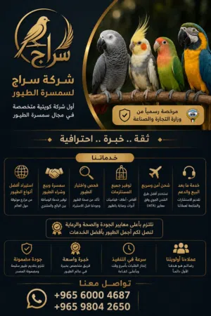 شركة سراج لسمسرة الطيور