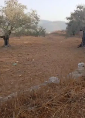 الاستخدام المتعدد . 480 م٢ . المالك1