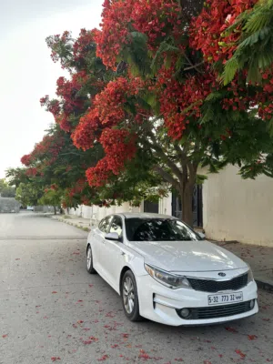 Used Kia Optima in Tripoli