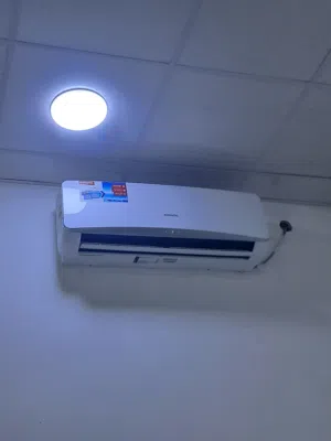 سبلت شونك طن ونص
