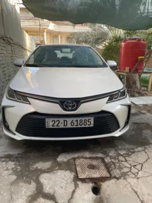 كورولا 2021 ساز