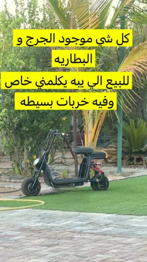 هارلي للبيع