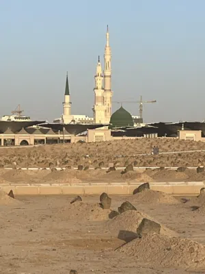 شقة للايجار