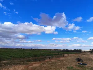 More than 6 bedrooms Farms for Sale in Suluq Other