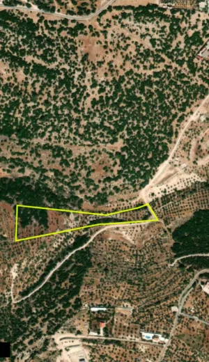 Farm Land for Sale in Salt Other