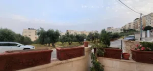 شقة ارضية للبيع او البدل الجبيهة