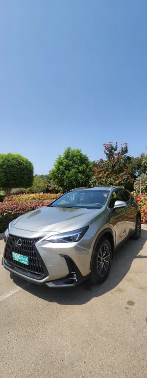 Used Lexus NX in Muscat