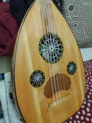 عدد 2 عود جديد للبيع