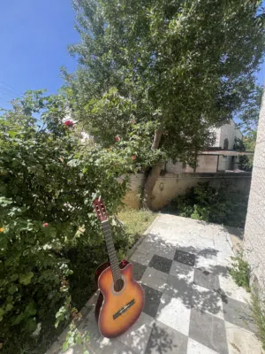 جيتار ( روز / Rooz ) كلاسيك
