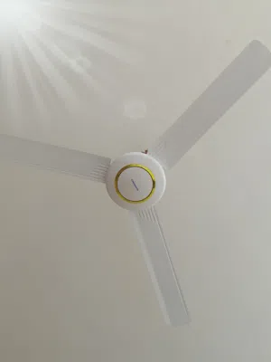 بنكات جدد 4 ثنين جوزيات وثنين بيض