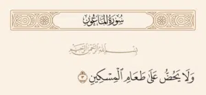 قطعة أرض للاستثمار في شارع الخروبة في شارع عمارات مربوط بشبكة الصرف الصحي