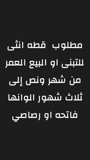 اكثر سعر بدفعه 15