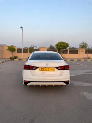 التيما 2019