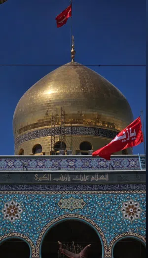رضا صلاح 