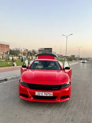 Used Dodge Charger in Basra
