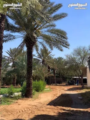 أرض 284م للبيع سوق الجمعة 11 يونيو طريق 16 بالقرب من مسجد التوبة داخل المخطط موقع ممتاز وبسعر مميز