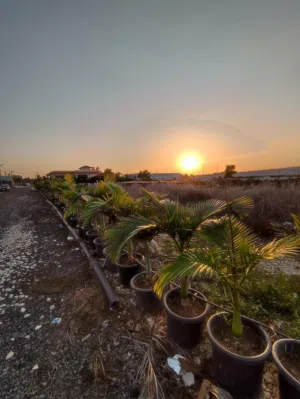 ‏الاستخدام المتعدد ‏.‏ 587 م٢ ‏.‏ المالك‏3