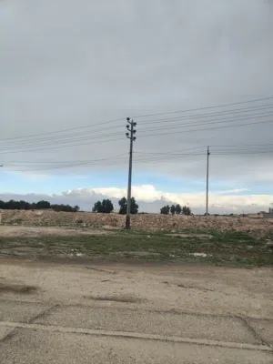 Farm Land for Rent in Basra Khor Al Zubair