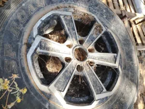 Aeolus . Other . Used3