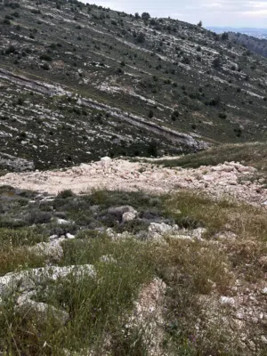 ارض حلحول للبيع