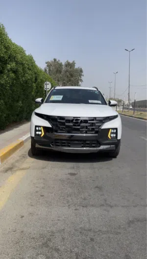 سانتا كروز